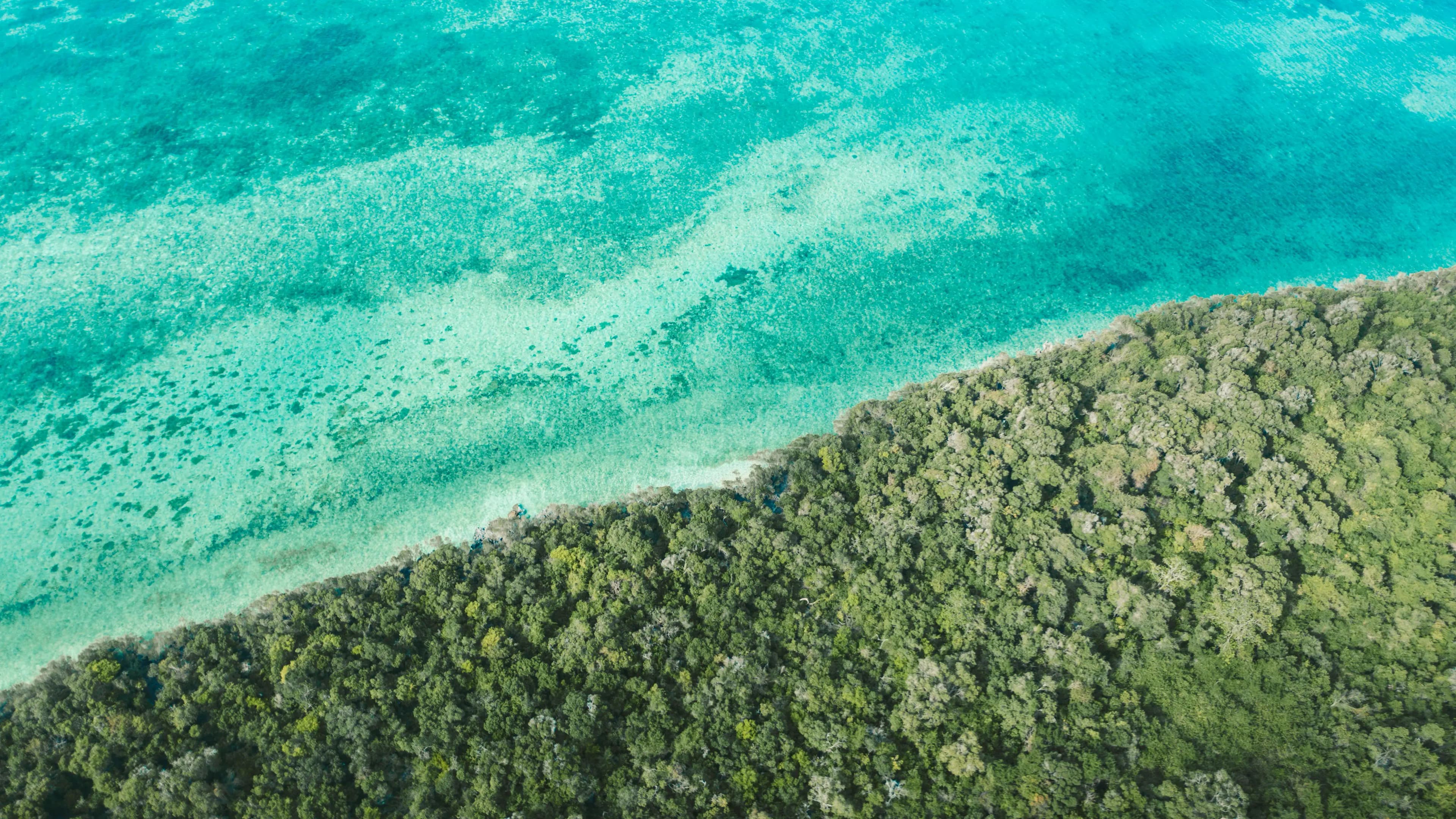 Aerial Beach View